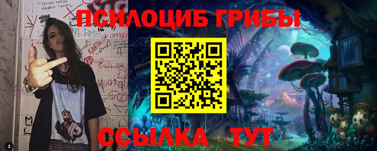 Псилоцибиновые грибы мицелий Керчь