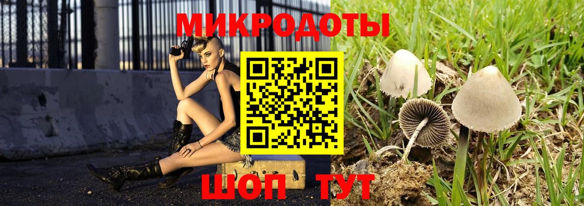 Керчь  Галлюциногенные грибы Psilocybe  Вход с VPN 